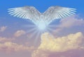 white angel flies in sky gradient, fluffy clouds, postmortal transition, concept of lightness, elevation, heavenly space, abode of Royalty Free Stock Photo