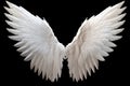 White angel wing isolated Royalty Free Stock Photo