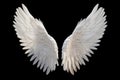 White angel wing isolated Royalty Free Stock Photo