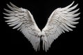 White angel wing isolated Royalty Free Stock Photo