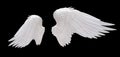 White angel wing Royalty Free Stock Photo