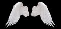 White angel wing Royalty Free Stock Photo