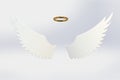 White angel wing isolated Royalty Free Stock Photo