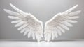 White angel wing isolated on white Royalty Free Stock Photo