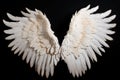 White angel wing isolated Royalty Free Stock Photo