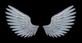 White angel wing Royalty Free Stock Photo