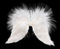 White angel wings