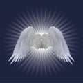 White angel wings design on dark blue background Royalty Free Stock Photo