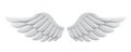 White Angel Wings Isolated