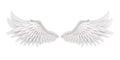 White Angel Wings Isolated Royalty Free Stock Photo