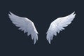 White angel wings Royalty Free Stock Photo