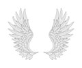 white angel wings many feathers beauty. vector new