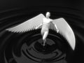 White angelic character rising from black liquid. 3d illustration