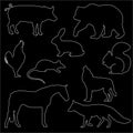 White animal silhouettes on black background