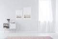 White anteroom interior with posters Royalty Free Stock Photo