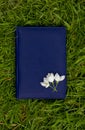 White apple blossoms lying on a Dark blue leather notebook on the green grass on a summer day Royalty Free Stock Photo