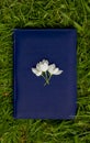 White apple blossoms lying on a Dark blue leather notebook on the green grass on a summer day Royalty Free Stock Photo