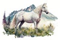 White Arabian horse on an alpine meadow, watercolor illustration. Generative AI