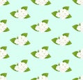 White Arabian Jasmine on Green Mint Background. Vector Illustration.