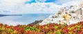 White architecture and flowers Santorini island, Greece. Beautiful summer landscape, sea view. Oia village Royalty Free Stock Photo