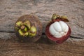 White aril of mangosteen fruit after endocarp opened Royalty Free Stock Photo