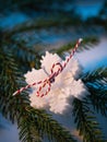 White aromatic candle in the shape of a snowflake on a spruce branch