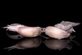 White aromatic garlic isolated on black glass Royalty Free Stock Photo