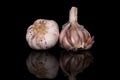 White aromatic garlic isolated on black glass Royalty Free Stock Photo