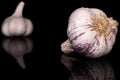 White aromatic garlic isolated on black glass Royalty Free Stock Photo