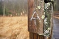 Appalachian trail symbol on wooden walkway through swamps