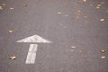 white arrow drawn on the road, direction up, forward Royalty Free Stock Photo