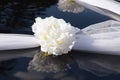 White artificial flowers are taped to the hood of the car.