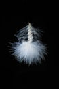 White Artificial Fly isolated on Black Royalty Free Stock Photo