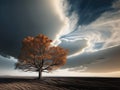 White ash tree in autumn