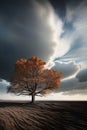 White ash tree with fall leaves