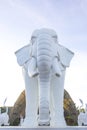 White Asia elephant statue with blue sky background Royalty Free Stock Photo