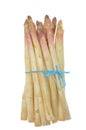 White asparagus