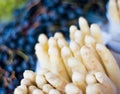 White asparagus Royalty Free Stock Photo