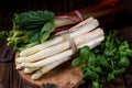 White asparagus and rhubarb Royalty Free Stock Photo