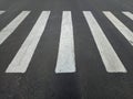 White asphalt crosswalk lines