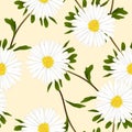 White Aster Flower on Ivory Beige Background. Vector Illustration