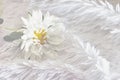 White aster on a fluffy bedspread, the concept season autumn winter