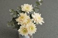 White asters with green branches