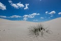 White Atlantis Sand Dunes