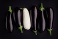 White aubergine black eggplant. concept Racism