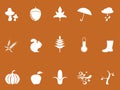 White autumn icons on brown background