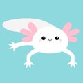 White axolotyl. Mexican salamander. Cute axolotl. Ambysoma mexicanum. Cartoon kawaii funny smiling baby character. Water dragon.