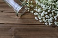 White baby`s breath on wood background.