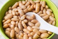 White backed beans and ceramic spoon in a green bowl. Bean is source of vegetable protein and ingredient for vegetarian food