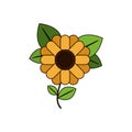 White background with abstract sunflower with stem and leaves in closeup with thick contour